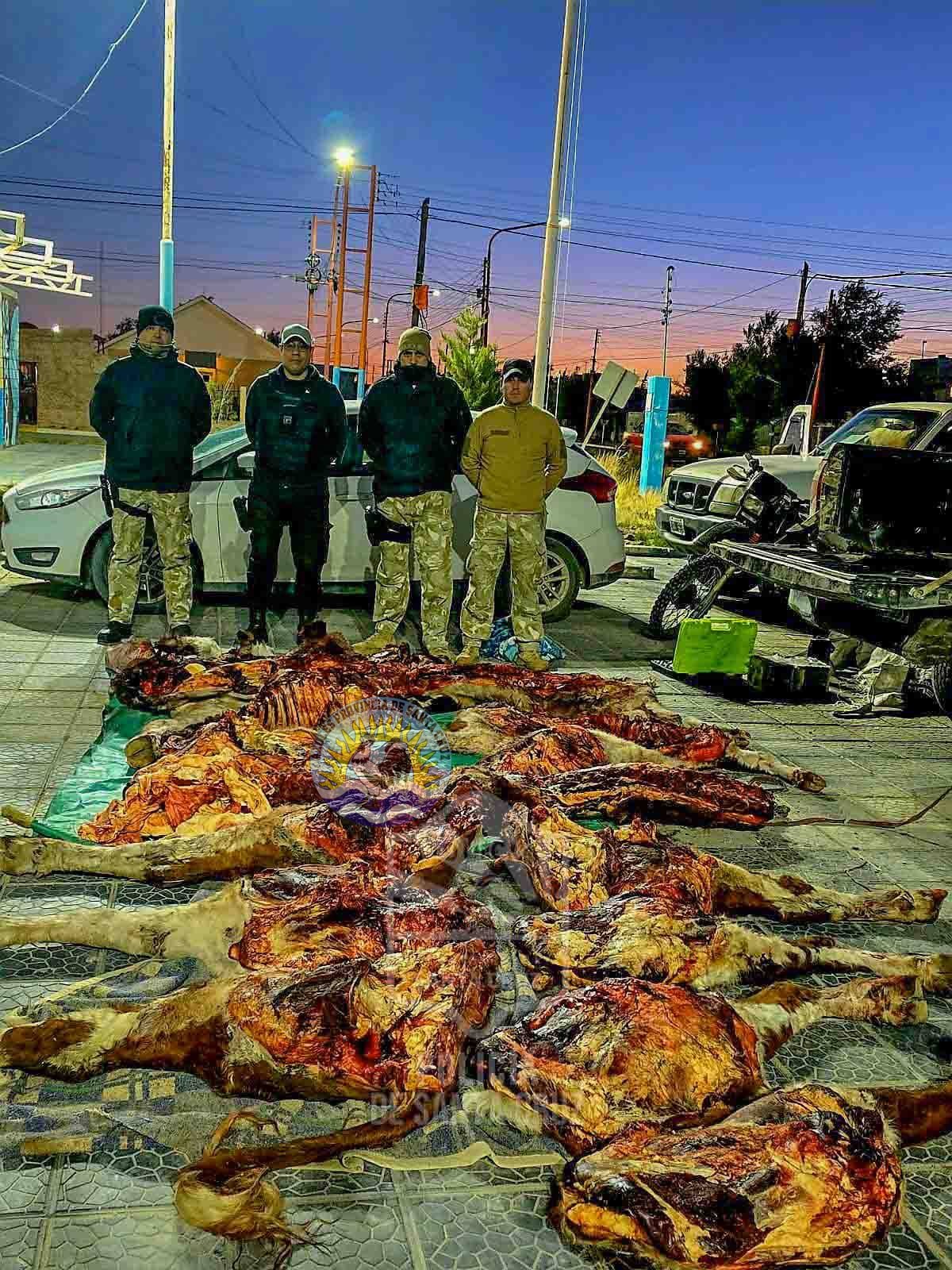 663342485_1623535975869950_874086663865636027_n