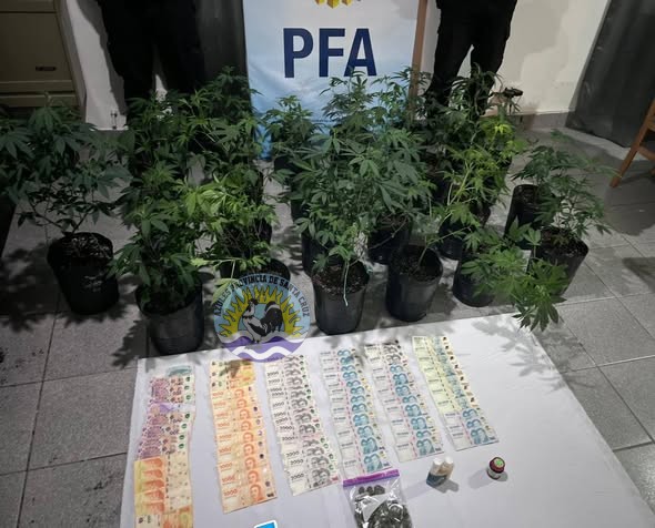 672218806_1636621024561445_74151172583337891_n