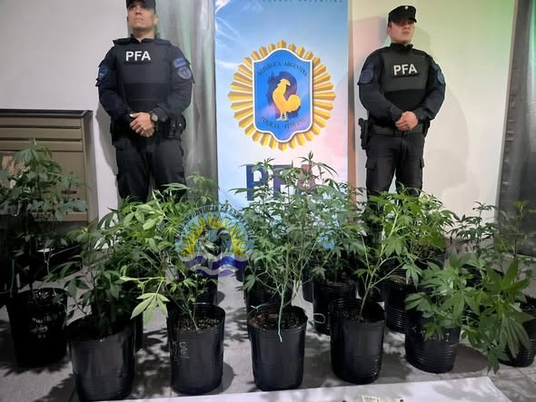 673542438_1636621054561442_8578464770111113973_n