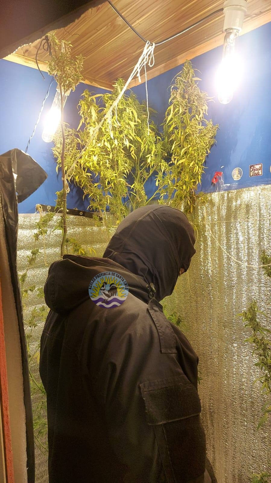 673884037_1639248900965324_5821613478152677792_n