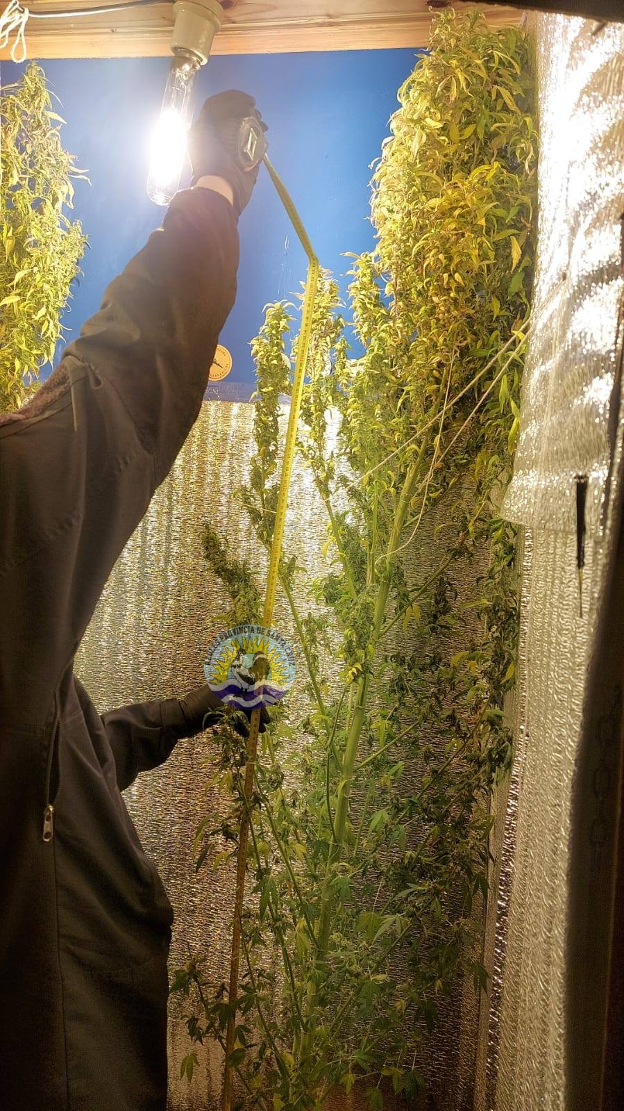 677863773_1639248604298687_120047433203172673_n